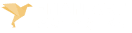 فنان ارت