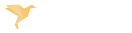 فنان ارت